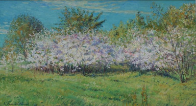 "Цветущие вишни".2008. Х.,м. 39х70